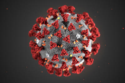 coronavirus_cdcx